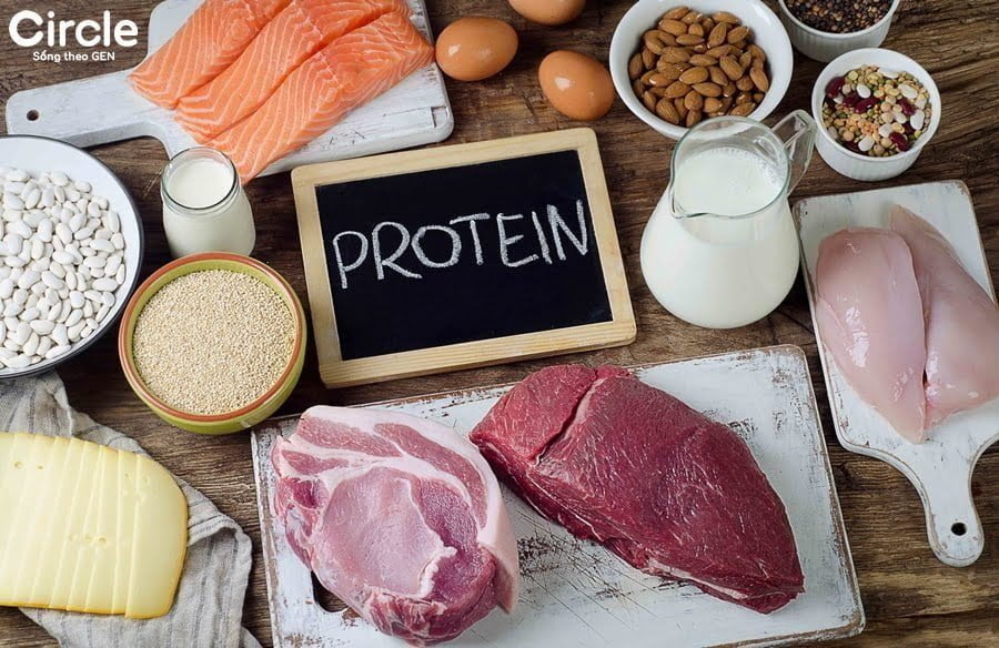 chế độ ăn lên cơ