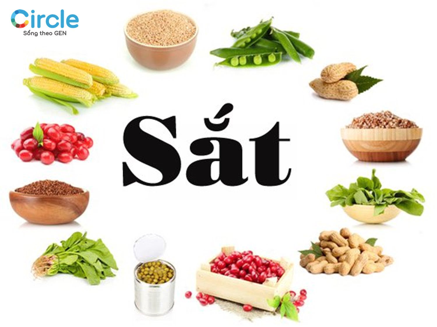 Lựa chọn thực phẩm giàu chất sắt là ưu tiên hàng đầu trong thực đơn cho trẻ thiếu máu