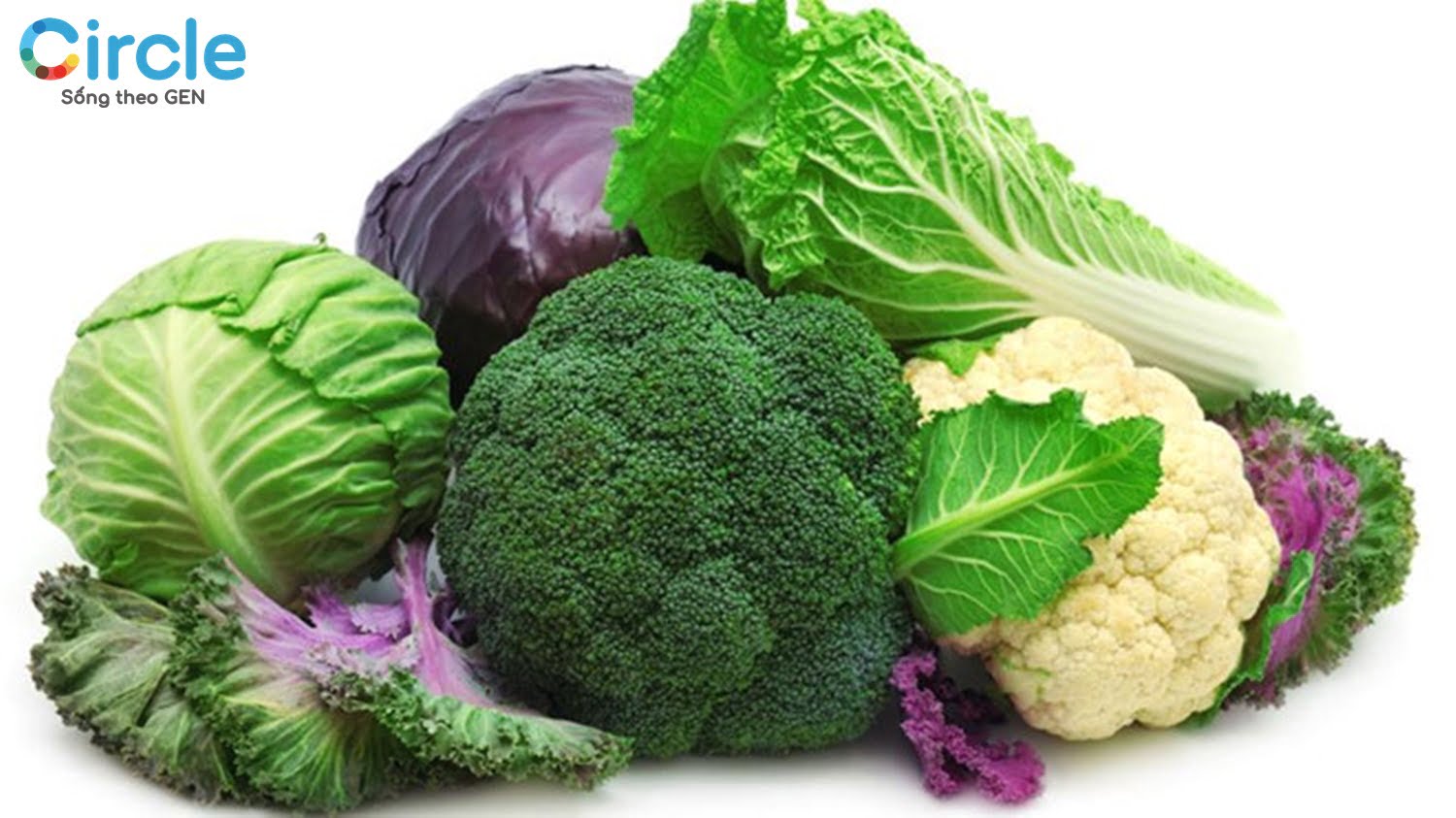 Các loại rau, củ non, đặc biệt là họ cải như bắp cải, củ cải hay rau cải có chứa rất nhiều vitamin U. Giúp các vết thương ở đường tiêu hóa chóng lành.