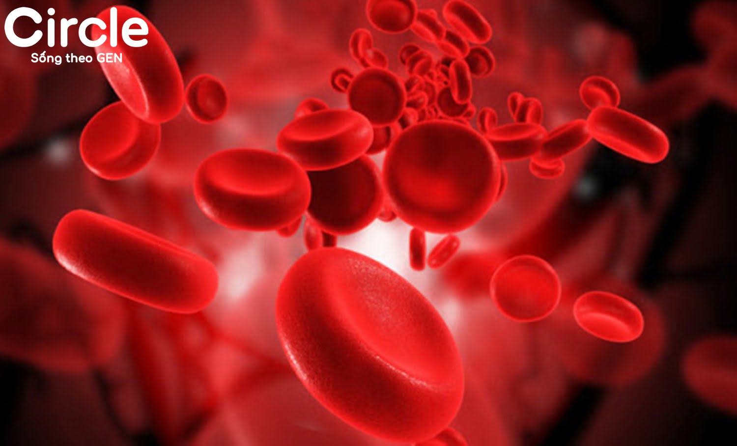 Tùy thuộc vào lượng huyết sắc tố trong cơ thể để đánh giá trẻ có bị thiếu máu hay không?