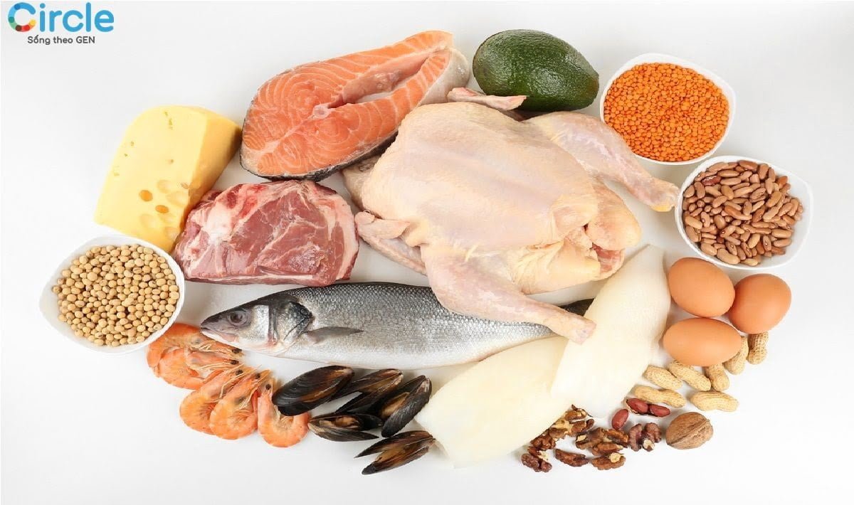 Đạm làm nguồn dinh dưỡng không thế thiếu trong bữa ăn dinh dưỡng cho trẻ.