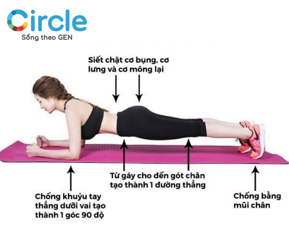 Plank là bài tập mà bạn không thể không nhắc đến trong danh sách những bài tập thể dục giúp tan mỡ bụng thần thánh. 