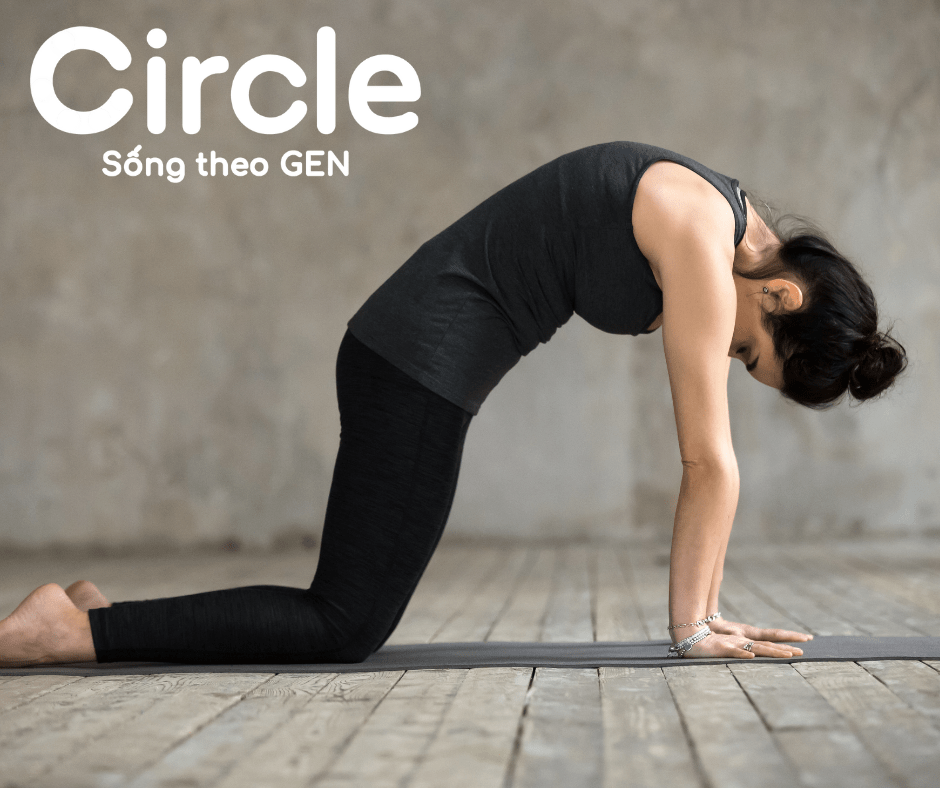 Bài tập thể dục con mèo còn có tác dụng kéo dài lưng, giúp ổn định cấu trúc cột sống và thư giãn các mô mềm bao quanh, giúp chữa đau lưng hiệu quả.