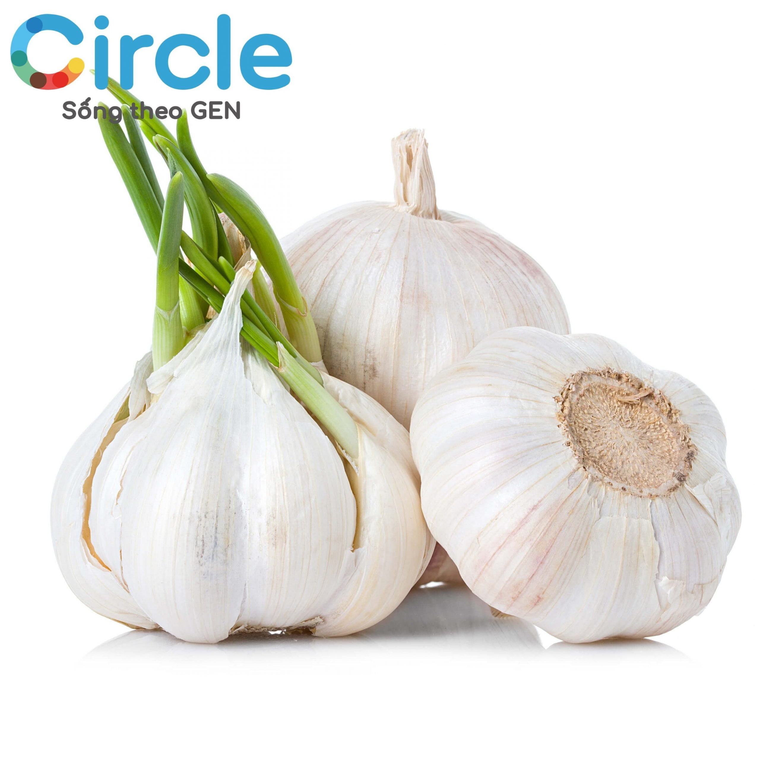 Tỏi là liệu pháp hiệu quả nhưng phải áp dụng trong thời gian dài, không thể dùng để xử lý tăng huyết áp cấp cứu.