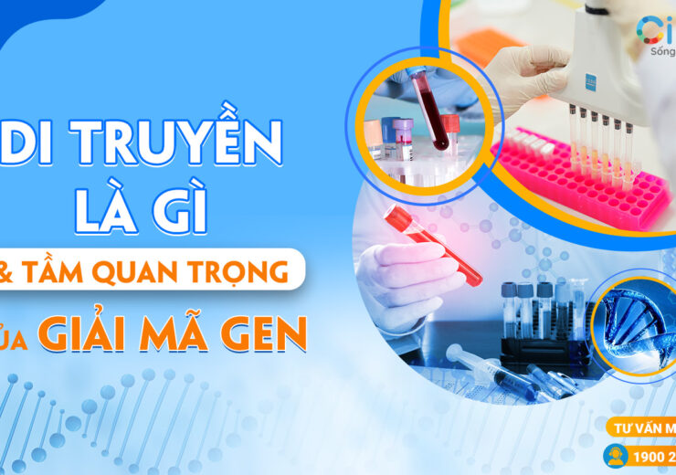 Di truyền là gì và tầm quan trọng của giải mã gen