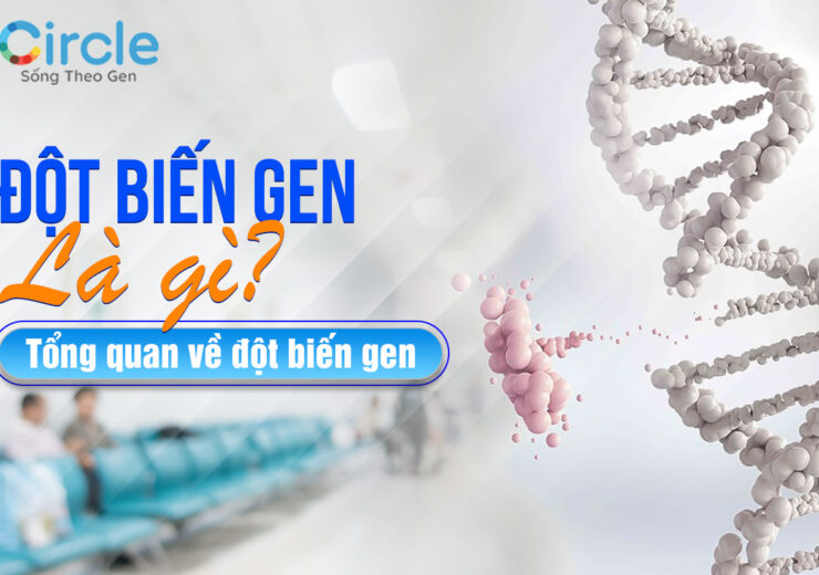Đột biến gen là gì. Tổng quan về đột biến gen