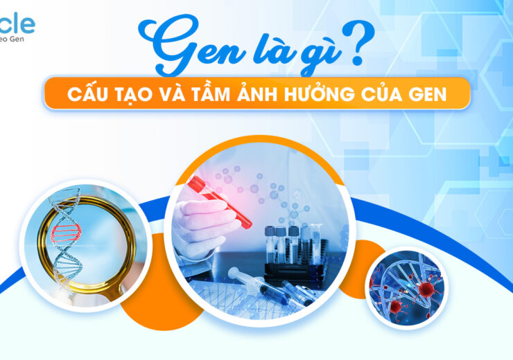 Gen là gì - Cấu tạo và tầm ảnh hưởng của gen